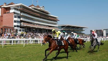 Newsboy’s horseracing tips for Thursday’s five meetings, including Newbury Nap