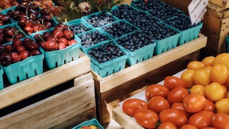 The prices at Ina Garten's favorite Hamptons farm stands broke my heart, but the food was so good it healed me