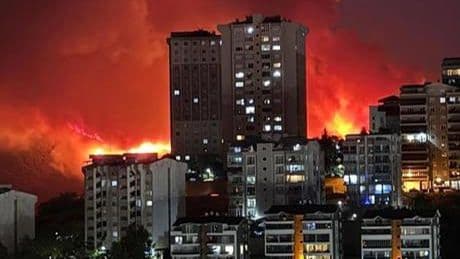 AK Parti heyeti Bursa'daki yangın bölgesinde incelemelerde bulundu