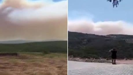 Kocaeli'de orman yangını