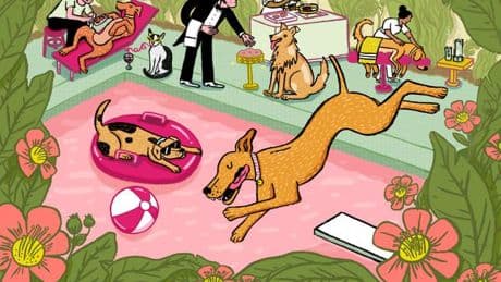 Spas et psys : quand nous finissons par étouffer nos chats et chiens d’un amour toxique