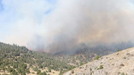 Maraş'ta Göksun’da çıkan orman yangınına müdahale ediliyor