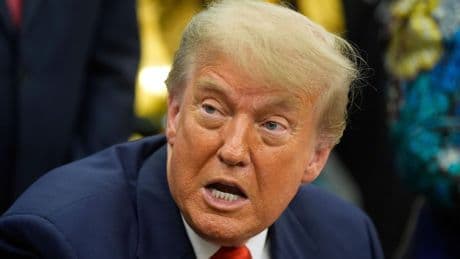 Streit um Steuergesetz: Trump teilt gegen Musk aus: Ohne Subventionen könnte er dicht machen