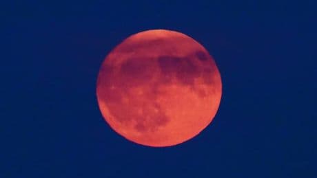 Strawberry Moon in pictures as spectacle lights up Scottish skies for last time until 2043