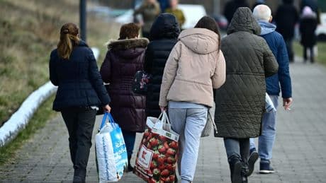 Sozialleistungen für Ukrainer: In welchem EU-Land gibt es mehr Geld?