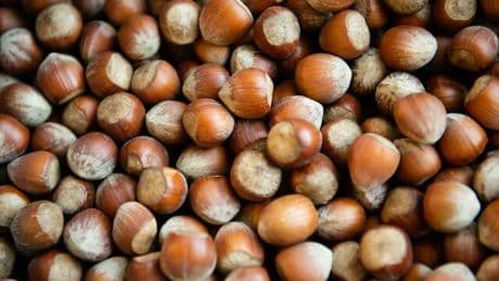 Ernährung: Haselnusspreise liegen auf hohem Niveau