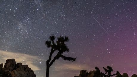 How to view the Perseid meteor shower that’s lighting up Canadian skies with shooting stars