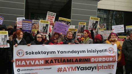 ​​​​​​​AYM sokak hayvanları yasasını 7 Mayıs’ta esastan görüşecek