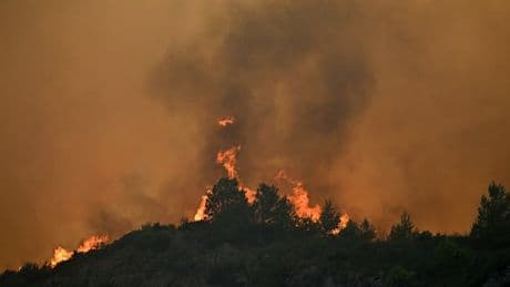 Au moins 14.000 hectares parcourus: l'incendie de l'Aude est-il le plus dévastateur du 21e siècle?