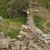 Grainy video in UK trial shows Sycamore Gap tree’s last stand