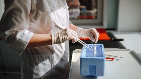 What are ‘three-parent babies’ and how does the IVF treatment work?