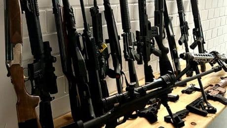 Razzia gegen Reichsbürger in Niedersachsen - Polizei findet Waffen und Bunker