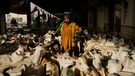 The top photos of the day by AP's photojournalists