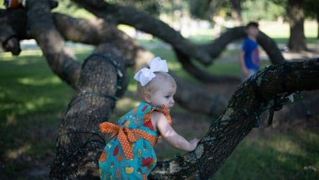 Are You A Crunchy Parent – Or A Silky One? Here's What That Means