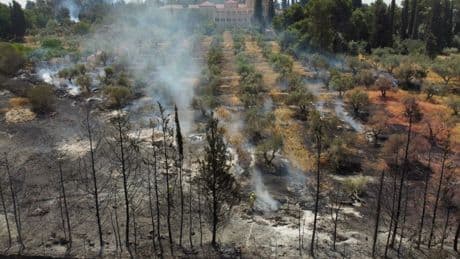 Israel facing ‘national emergency’ as massive wildfires burn towards Jerusalem with 18 suspects arrested over arson