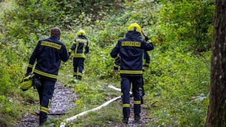 Düsseldorf: Neue Feuerwehreinheit für Waldbrände gegründet
