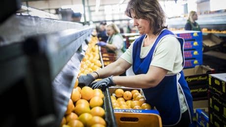 13 Stunden am Tag arbeiten: Griechenland macht vor, was bei uns undenkbar wäre