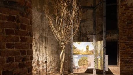 Sostenibilità, Gruppo Saviola: Pannelli Ecologici per Triennale Milano e Biennale Architettura