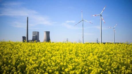 Kohlekraftwerk: Kühlturm des Kohlekraftwerks Mehrum erfolgreich gesprengt
