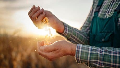 Four Ways The Food Industry Is Building A Resilient Future