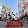 Wie nahe stehen sich Russland und China wirlich?: „Moskau verfolgt das Disruptive, Peking das Evolutionäre“