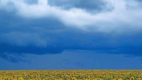 Landwirte im Gespräch: „Wir wollen keine Almosenempfänger sein“