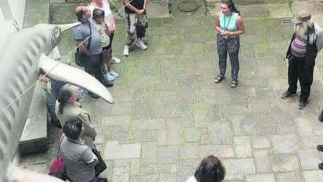 Il Besanosauro di 6 metri abita al Museo dei fossili