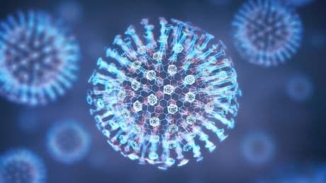 Norovirus auf Kreuzfahrtschiffen: Diese Symptome sollten Sie kennen