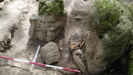 Guatemala: découverte de vestiges d'une cité maya datant de plus de 2800 ans