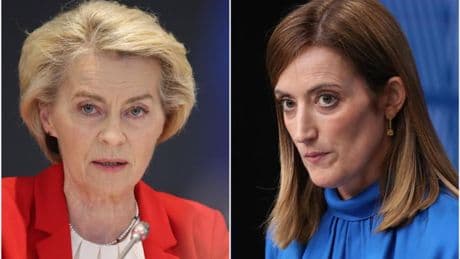 Von der Leyen fa a pezzi il Green Deal, Commissione e Parlamento ai ferri corti
