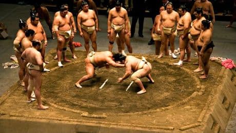 Pourquoi les Japonaises raffolent du sumo