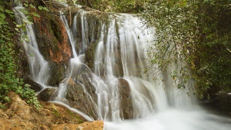 La ruta de senderismo entre árboles y naturaleza que acaba en una de las cascadas más bonitas de Andalucía