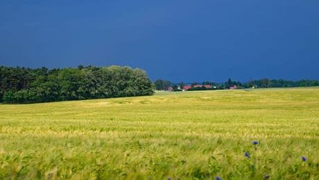 Wetter: Wechselhafter Start ins Wochenende in Berlin und Brandenburg