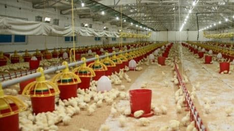 "Yerelde ekonomik hareketlilik sağlıyoruz"