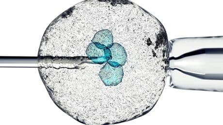 Cellule staminali, dal Giappone arriva la prossima rivoluzione