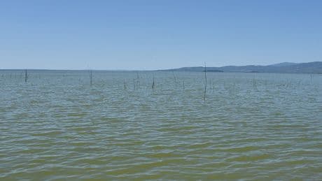 Treviso, ragazzino di 12 anni muore dopo essere caduto nel lago di Molveno: era in condizioni gravissime