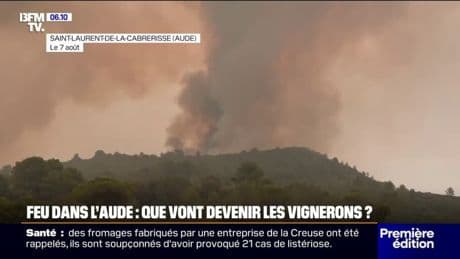 Feu maîtrisé dans l'Aude: les viticulteurs dans l'attente du soutien de la ministre de l'Agriculture qui se rend sur place ce jeudi