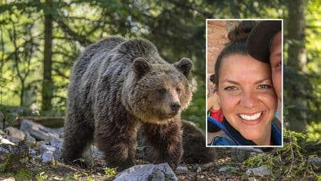 Una mujer sobrevive tras ser atacada por un oso y ser arrastrada 90 metros