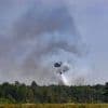 Waldbrand: Lage beim Waldbrand in der Gohrischheide bleibt weiter ernst