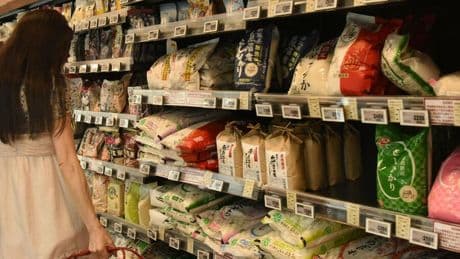Handelskonflikt : Japan steckt in der Reiskrise – mit Folgen für die US-Zollverhandlungen