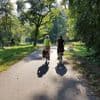 Parkplätze statt Radschnellweg nach Wannsee?: Grüne bangen um letztes Projekt – Senat widerspricht