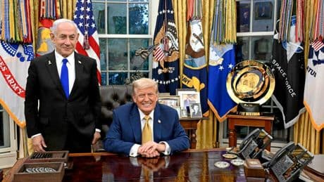 Gaza : Trump veut déplacer la population pour y construire des « villes intelligentes »