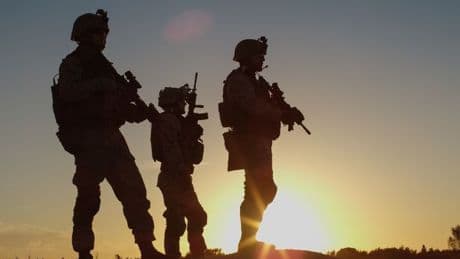 Veterans recall seeing SAS 'kill handcuffed kids' in slew of 'war crimes'