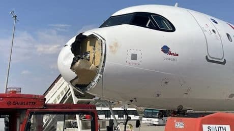 Vogel kracht in Flugzeugnase – Airbus mit 182 Passagieren muss notlanden