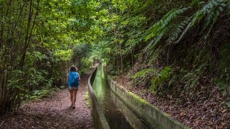 Madère, une île aux fleurs pour les randonneurs