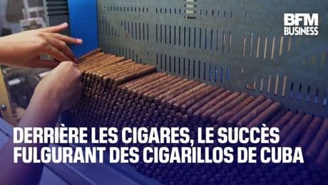 Derrière les cigares, le succès fulgurant des cigarillos de Cuba