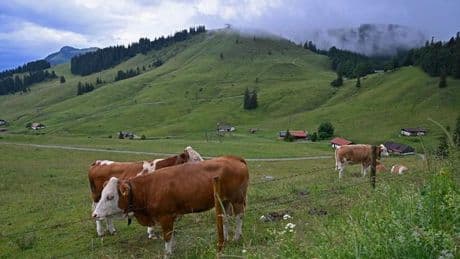 Wettervorhersage: Temperaturen bis zu 30 Grad und Schauer am Wochenende