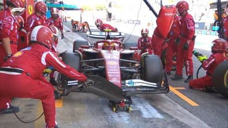 Hamilton, la marmotta e l'incidente