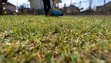 Haus & Garten: 48 % Rabatt auf Rasendünger plus Unkrautvernichter: Garten-Deals am Mittwoch