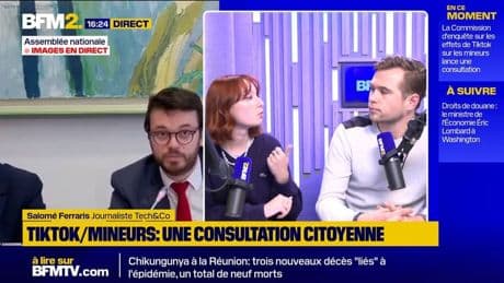 Consultation Tiktok : "Trois types de questions : sur les usages, les dérives et les préconisations"